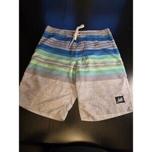 ...Lost Enterprises Mens Board Shorts Size 32 Blue Green Striped Surf Swim Trunk